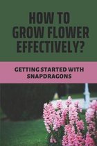 How To Grow Flower Effectively?: Getting Started With Snapdragons