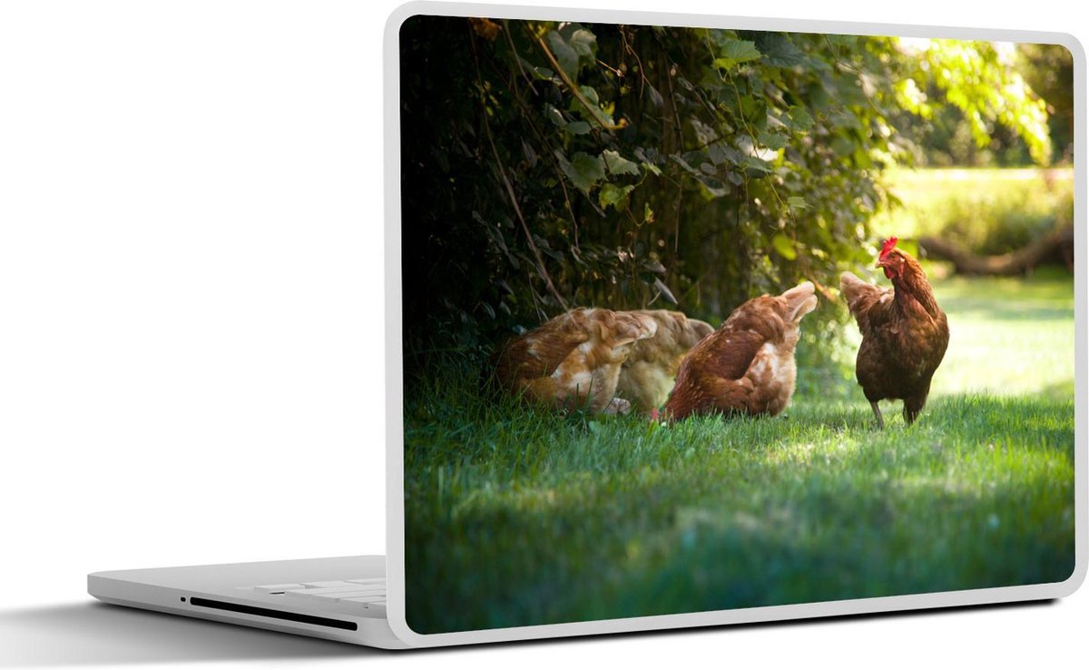 Laptop sticker - 17.3 inch - Kippen op zoek naar voedsel bij heg van klimop - 40x30cm - Laptopstickers - Laptop skin - Cover