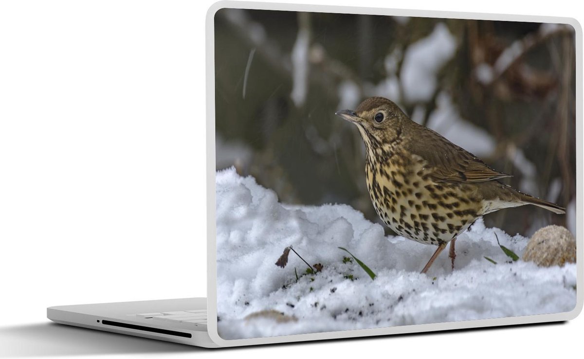 Afbeelding van product SleevesAndCases  Laptop sticker - 15.6 inch - Een zanglijster in de sneeuw
