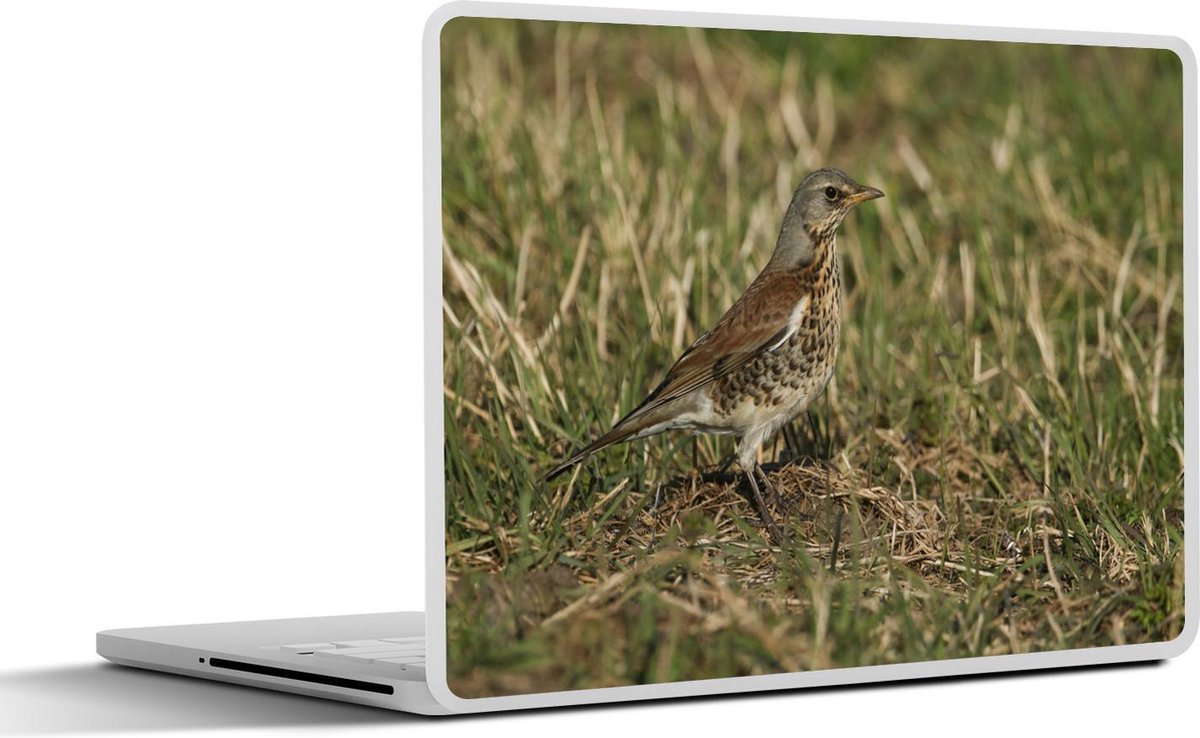 Afbeelding van product SleevesAndCases  Laptop sticker - 17.3 inch - Een Zanglijster beschut in het gras