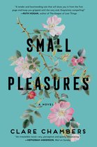 Boekcover "Small Pleasures" van Clare Chambers met roze en rode bloemen op een turquoise achtergrond.