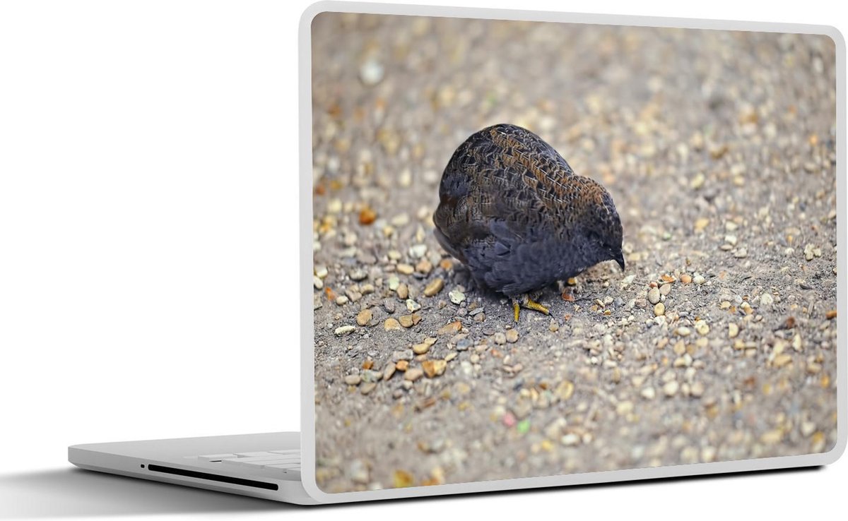 Afbeelding van product SleevesAndCases  Laptop sticker - 17.3 inch - Een Chinese dwergkwartel kijkt naar de grond