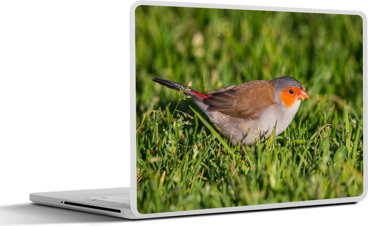 Afbeelding van product SleevesAndCases  Laptop sticker - 17.3 inch - Oranjekaakje op het gras