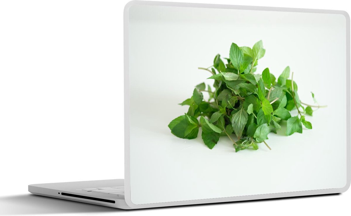 Afbeelding van product SleevesAndCases  Laptop sticker - 15.6 inch - Een fris hoopje munt