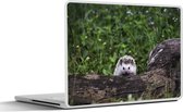 Laptop sticker - 13.3 inch - Kleine egel op boomstronk - 31x22,5cm - Laptopstickers - Laptop skin - Cover