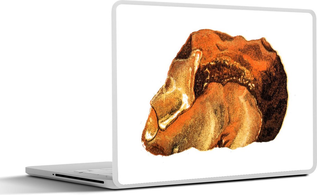 Afbeelding van product SleevesAndCases  Laptop sticker - 14 inch - een oranje edelsteen