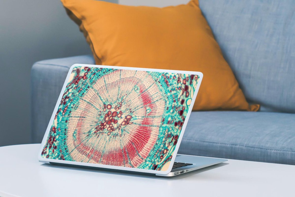 Laptop sticker 14 inch Cirkel Blauw Rood