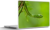 Laptop sticker - 11.6 inch - Groene slang van dichtbij - 30x21cm - Laptopstickers - Laptop skin - Cover