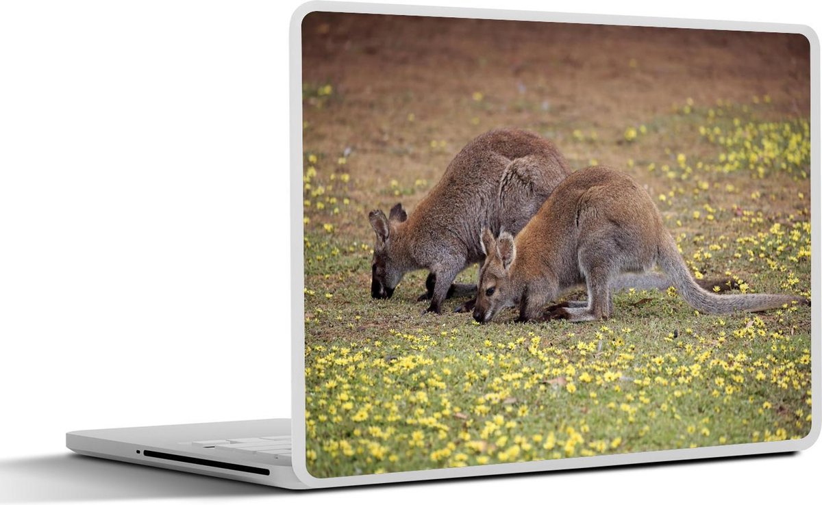 Afbeelding van product SleevesAndCases  Laptop sticker - 13.3 inch - Wallaby's die aan het eten zijn