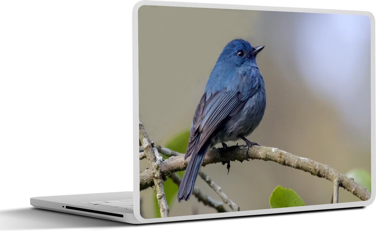 Afbeelding van product SleevesAndCases  Laptop sticker - 13.3 inch - Een blauw gekleurde Azuurvliegenvanger