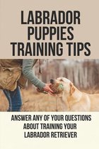 Labrador Puppies Training Tips: Answer Any Of Your Questions About Training Your Labrador Retriever