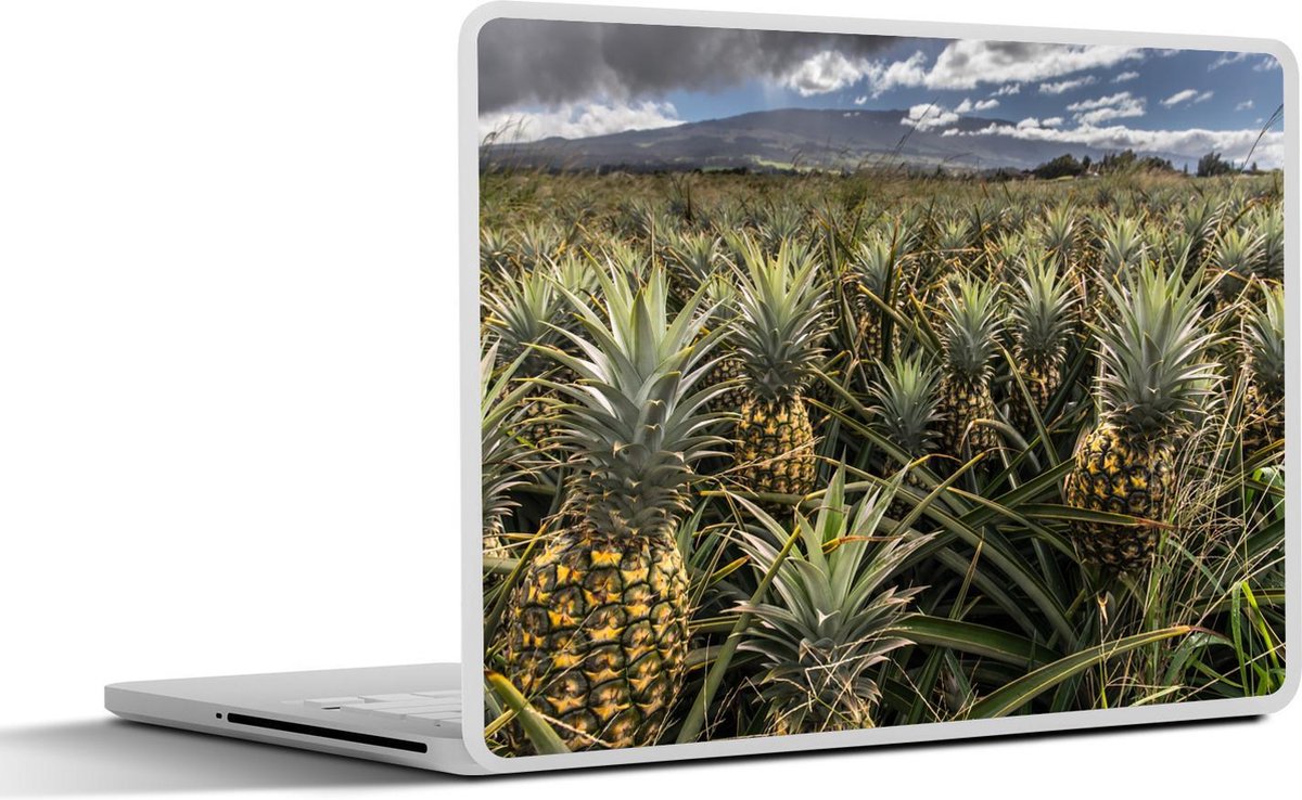Afbeelding van product SleevesAndCases  Laptop sticker - 12.3 inch - Ananasplant - Lucht - Hawaii