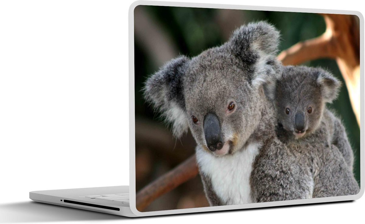 Laptop sticker - 14 inch - Koala's - Vader - Kind - Kinderen - Jongens - Meisjes - 32x5x23x5cm - Laptopstickers - Laptop skin - Cover