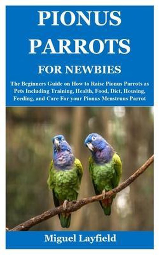 Pionus Parrots for Newbies