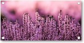 Lavendel in een lavendelveld - Tuinposter 200x100 - Wanddecoratie - Natuur - Bloemen