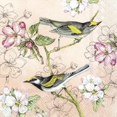 IHR - Oiseaux symphonie Abricot - Serviettes repas en papier
