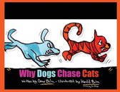 Why Dogs Chase Cats