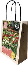 Urban Friends Gardening | Mix per 15