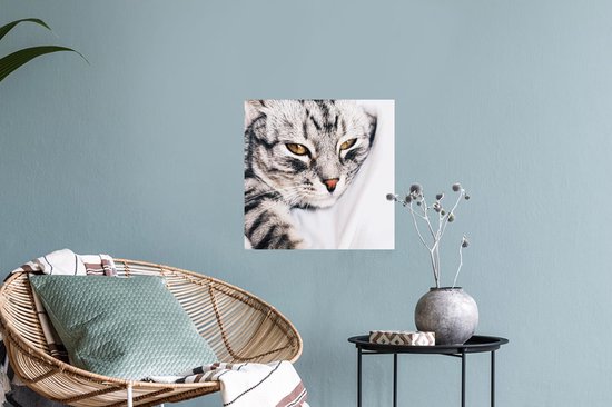 Stickers muraux - Film autocollant - Chats - Yeux - Macro - 40x30 cm - Film adhésif - Stickers muraux Chambre d'enfants - Papier peint autocollant