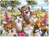 Metalen wandbord Katten Selfie - 20 x 30 cm