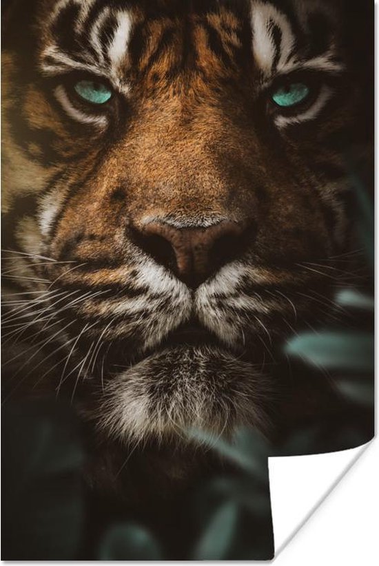 Affiche Tigre - Jungle - Plantes - 20x30 cm