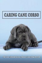 Caring Cane Corso: All You Should Know About Your Dog Breed