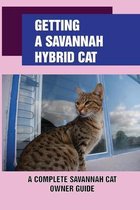 Getting A Savannah Hybrid Cat: A Complete Savannah Cat Owner Guide
