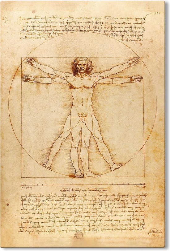 Canvas Schilderij Vitruviusman - Leonardo da Vinci - 60x90 cm