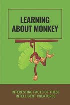 Learning About Monkey: Interesting Facts Of These Intelligent Creatures