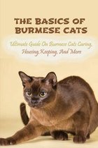The Basics Of Burmese Cats: Ultimate Guide On Burmese Cats Caring, Housing, Keeping, And More