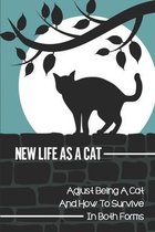 New Life As A Cat: Adjust Being A Cat And How To Survive In Both Forms