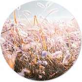 Label2X - Schilderij - Winter Morning Flower Ø - Multicolor - 100 X 100 Cm