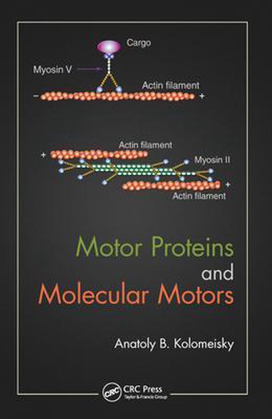 Motor Proteins and Molecular Motors 9780367575762 Anatoly B