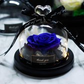 Onsterfelijke Roos in Glas – Blauw - Moederdag – Valentijn cadeautje – Huwelijk – Roos in Glas – Decoratief - Cadeau