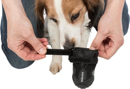 Persoon die een zwarte hondenschoen aanpakt, met hond op de achtergrond.