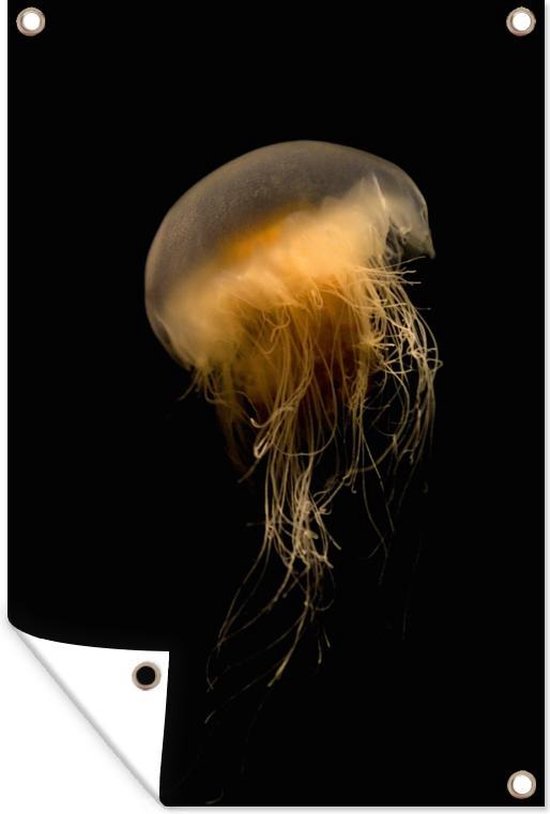 Décoration murale murale Méduse - Animaux - Goud - Zwart - 120x180 cm - Poster jardin - Toile jardin - Poster extérieur