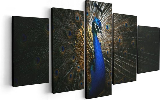 Artaza Canvas Schilderij Vijfluik Blauwe Pauw Met Grote Veren - 100x50 - Foto Op Canvas - Canvas Print