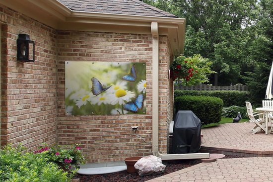 Poster de jardin Fleurs - Papillons - Été - 120x80 cm - Jardin