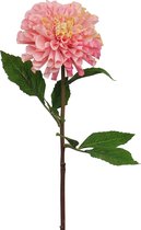 Fabulous Flowers - 3,0 sts zinnia roze Ø 13 cm
