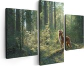 Artaza Canvas Schilderij Drieluik Retriever Hond In Het Bos Met Zon - 90x60 - Foto Op Canvas - Canvas Print