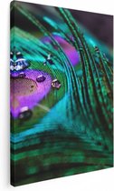 Artaza Canvas Schilderij Kleurrijke Pauw Veer Met Waterdruppels  - 30x40 - Klein - Foto Op Canvas - Canvas Print