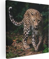 Artaza - Peinture Sur Toile - Léopard Dans La Forêt - 50x50 - Photo Sur Toile - Impression Sur Toile