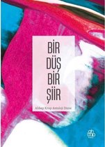 Bir Düş Bir Şiir