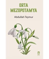 Orta Mezopotamya