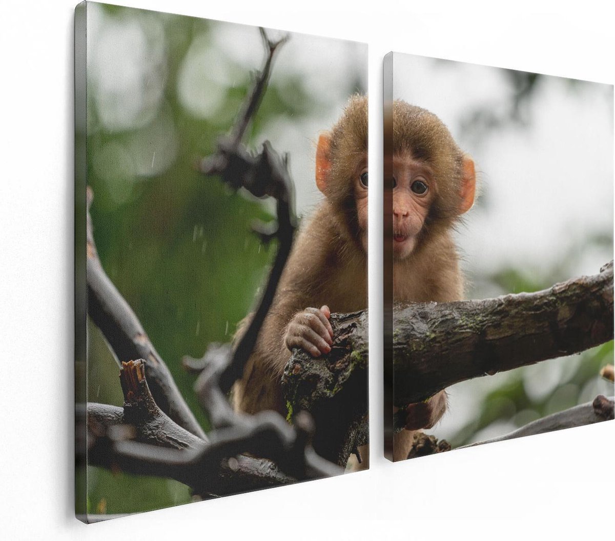 Artaza Canvas Schilderij Tweeluik Klein Baby Aapje Op Een Tak - 120x80 - Foto Op Canvas - Canvas Print