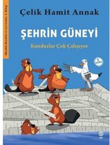 Şehrin Güneyi: Kunduzlar Çok Çalışıyor - Meraklı Martılar ve Çevremiz 2. Kitap