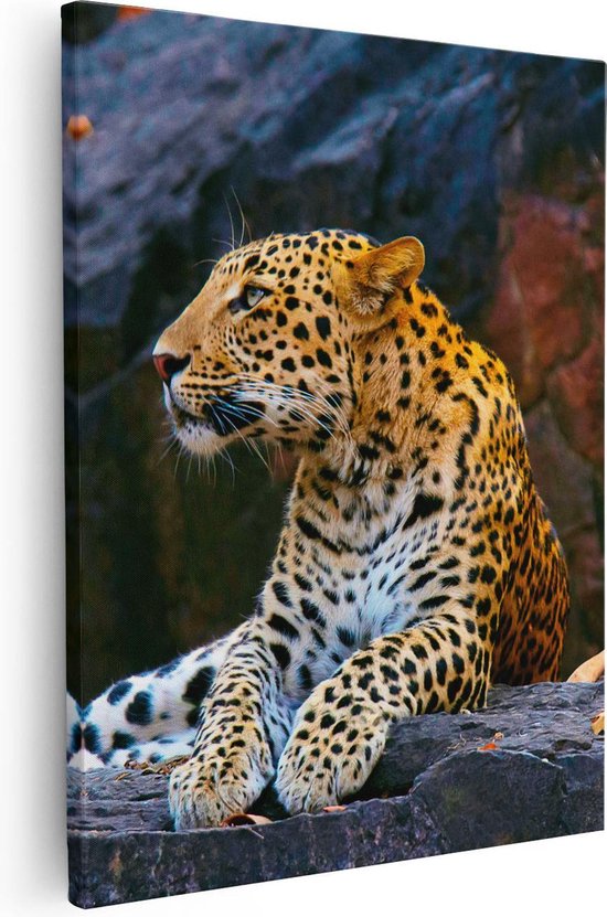 Artaza Toile Peinture Léopard Sur Les Rochers - 80x100 - Groot - Photo Sur Toile - Impression Sur Toile