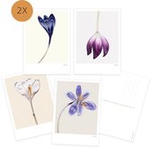 Ansichtkaart set - bloemen - blanco - kaarten - botanisch - voorjaar - zonder tekst - tulp - krokus