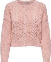 ONLY ONLTUNDRA LIFE O-NECK CARDIGAN KNT Dames Trui - Maat M