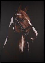 J-Line Kader Paard Hoofd Canvas/Hout Bruin/Zwart